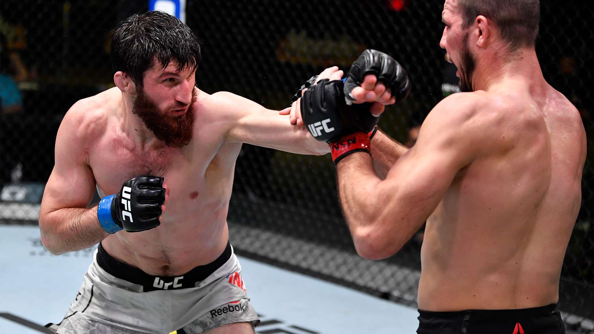 2024美洲足球盛宴