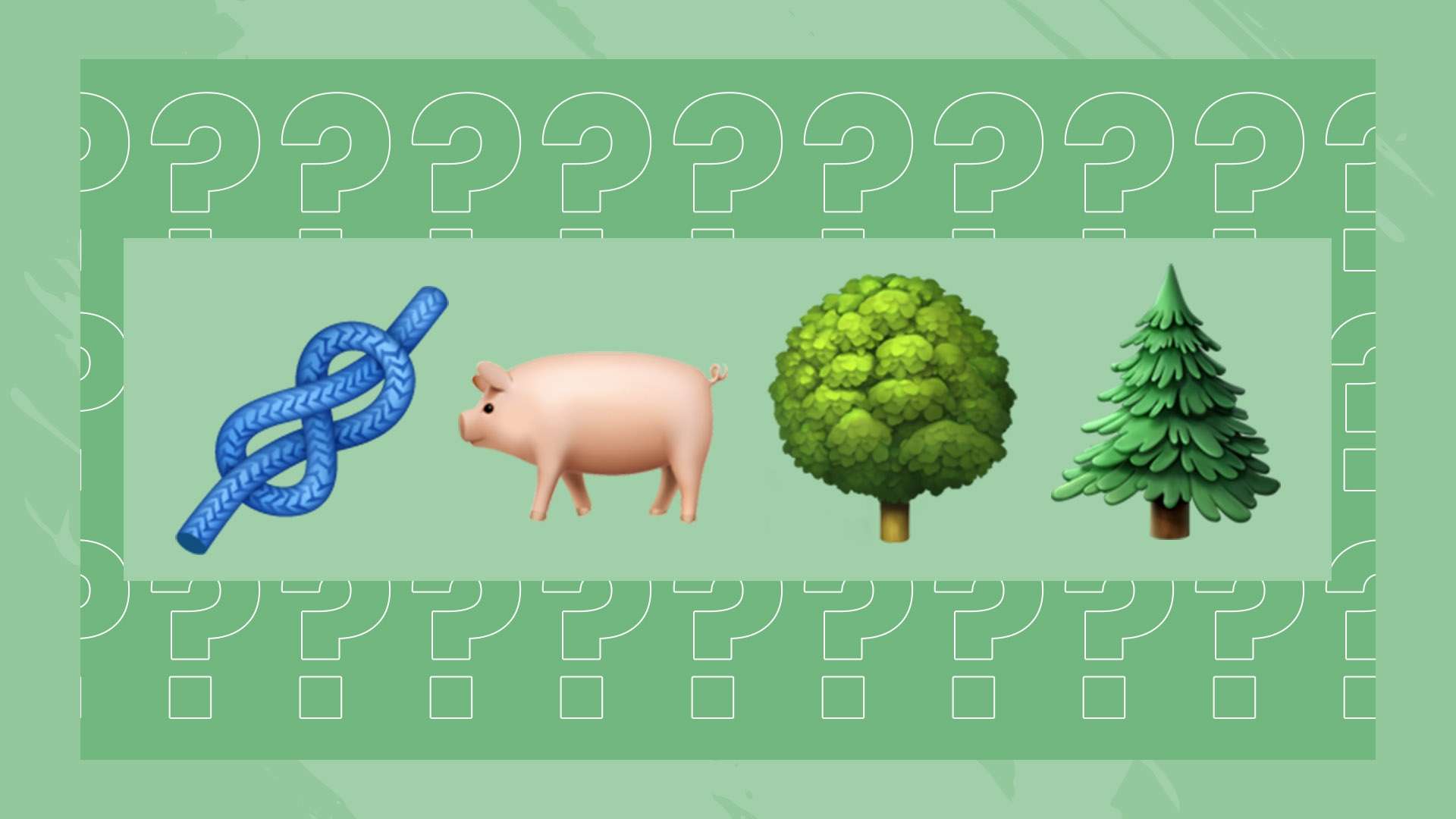 这种从历史 这种从历史